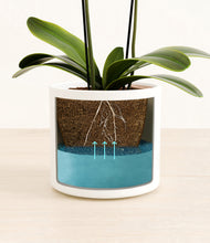 Load image into Gallery viewer, White