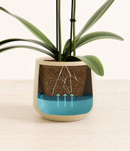 Load image into Gallery viewer, Almond Green