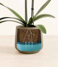 Load image into Gallery viewer, Olive stand:all