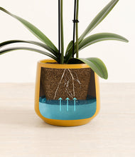 Load image into Gallery viewer, Mustard