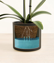 Load image into Gallery viewer, Black