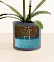 Load image into Gallery viewer, Deep Navy