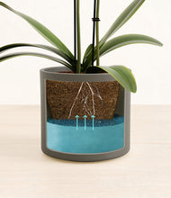 Load image into Gallery viewer, Dark Olive