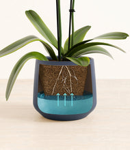 Load image into Gallery viewer, Deep Navy stand:all