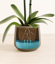 Load image into Gallery viewer, Olive stand:all