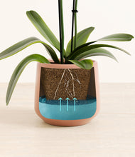 Load image into Gallery viewer, Calm Rose stand:all