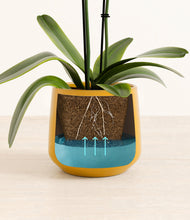 Load image into Gallery viewer, Mustard stand:all