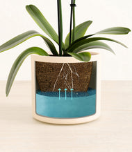 Load image into Gallery viewer, Cream