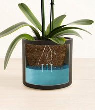 Load image into Gallery viewer, Black