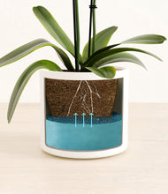 Load image into Gallery viewer, White