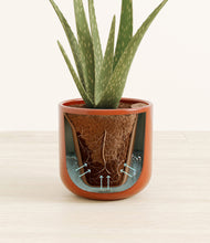 Load image into Gallery viewer, Glossy Red stand:all