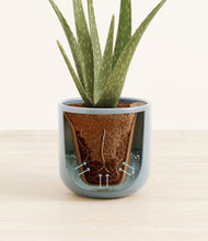 Load image into Gallery viewer, Misty Blue stand:all