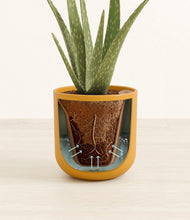 Load image into Gallery viewer, Sunset Orange stand:all