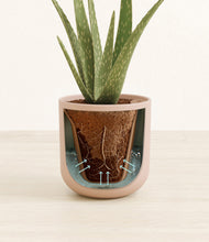 Load image into Gallery viewer, Sandy Pink stand:all