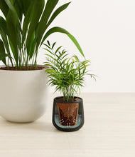 Load image into Gallery viewer, Orca stand:all