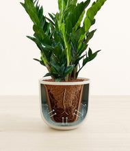 Load image into Gallery viewer, Natural Bamboo stand:all