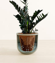 Load image into Gallery viewer, Sage Green stand:all