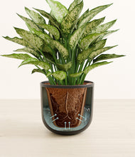 Load image into Gallery viewer, Stone Black stand:all