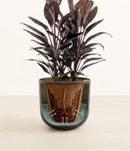 Load image into Gallery viewer, Stone Black stand:all