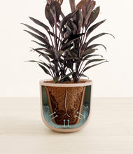 Load image into Gallery viewer, Sandy Pink stand:all