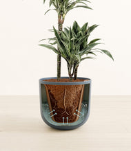 Load image into Gallery viewer, Iron Gray stand:all