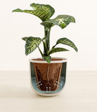 Load image into Gallery viewer, Natural Bamboo stand:all