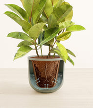 Load image into Gallery viewer, Sage Green stand:all