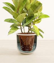 Load image into Gallery viewer, Natural Bamboo stand:all