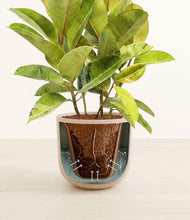 Load image into Gallery viewer, Sandy Pink stand:all