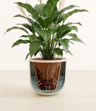 Load image into Gallery viewer, Natural Bamboo stand:all