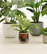 Load image into Gallery viewer, Woodland stand:all