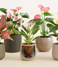 Load image into Gallery viewer, Woodland stand:all