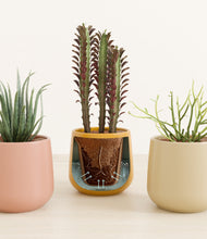 Load image into Gallery viewer, Evening Sky stand:all