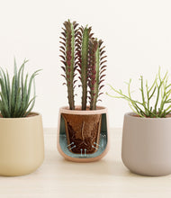 Load image into Gallery viewer, Sandy stand:all