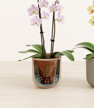 Load image into Gallery viewer, Muted Bloom stand:all