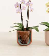 Load image into Gallery viewer, Terracotta Glow stand:all