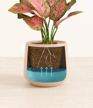 Load image into Gallery viewer, Gentle Pink