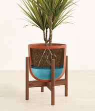 Load image into Gallery viewer, Earth Red stand:walnut