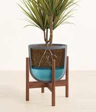 Load image into Gallery viewer, Iron Gray stand:walnut