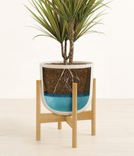 Load image into Gallery viewer, Natural Bamboo stand:bamboo