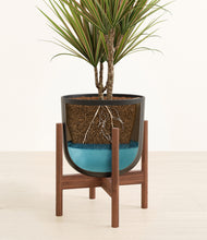 Load image into Gallery viewer, Stone Black stand:walnut