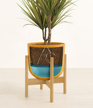 Load image into Gallery viewer, Sunset Orange stand:bamboo