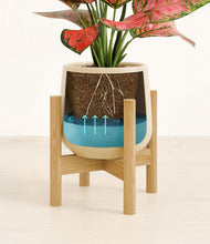 Load image into Gallery viewer, Almond Green stand:bamboo