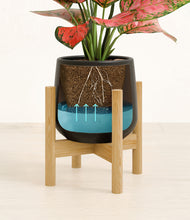 Load image into Gallery viewer, Black stand:bamboo