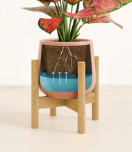 Load image into Gallery viewer, Calm Rose stand:bamboo