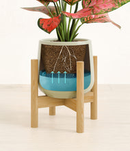 Load image into Gallery viewer, Turquoise stand:bamboo