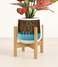 Load image into Gallery viewer, White stand:bamboo