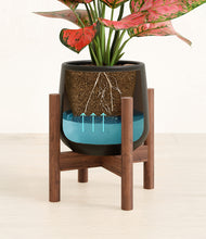 Load image into Gallery viewer, Black stand:walnut