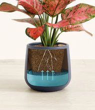 Load image into Gallery viewer, Deep Navy