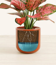 Load image into Gallery viewer, Glossy Red stand:all